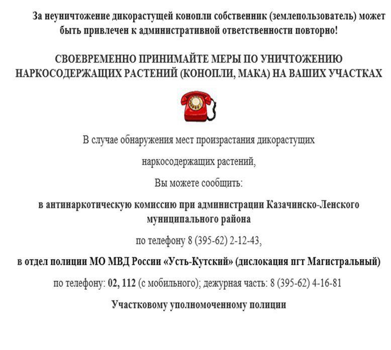 Антинаркотическая комиссия при администрации Казачинского муниципального района НАПОМИНАЕТ!